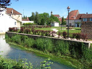 La Saône